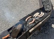 2025 Sommerwanderung (11).jpg